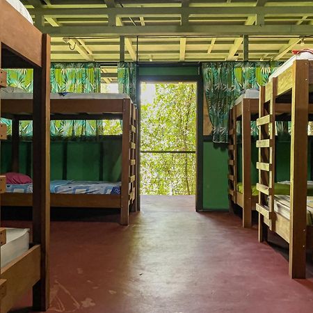 Corcovado Adventures Hostel Drake Bay Luaran gambar