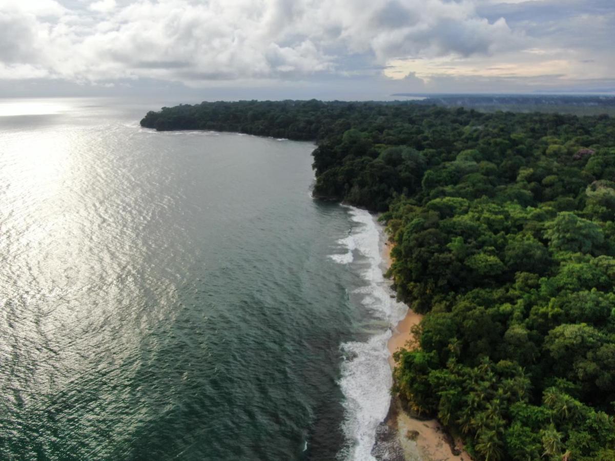 Corcovado Adventures Hostel Drake Bay Luaran gambar
