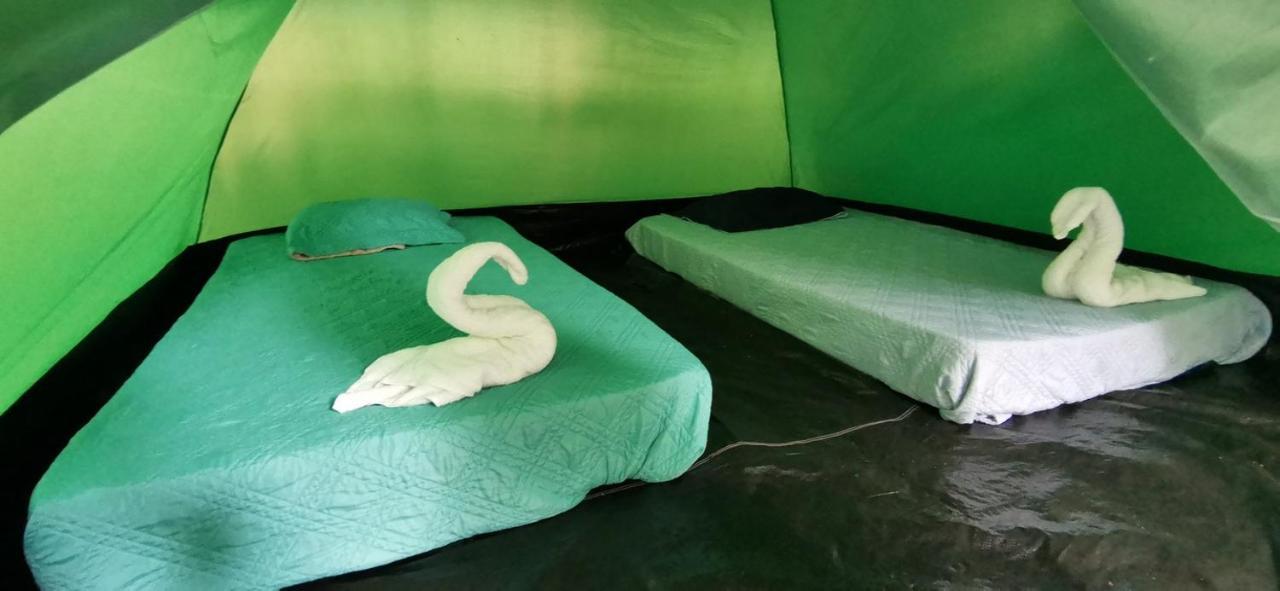 Corcovado Adventures Hostel Drake Bay Luaran gambar