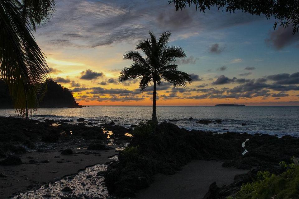 Corcovado Adventures Hostel Drake Bay Luaran gambar
