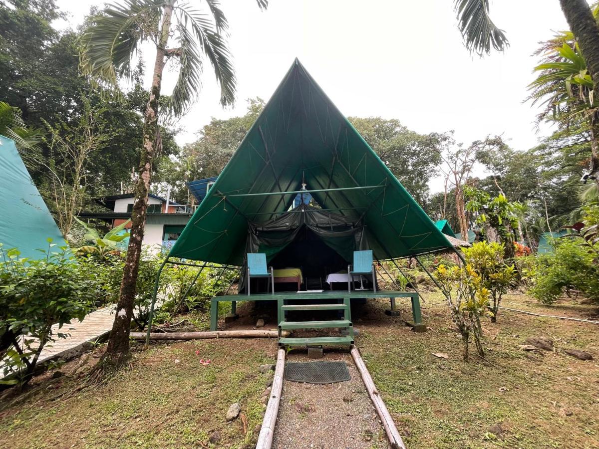 Corcovado Adventures Hostel Drake Bay Luaran gambar