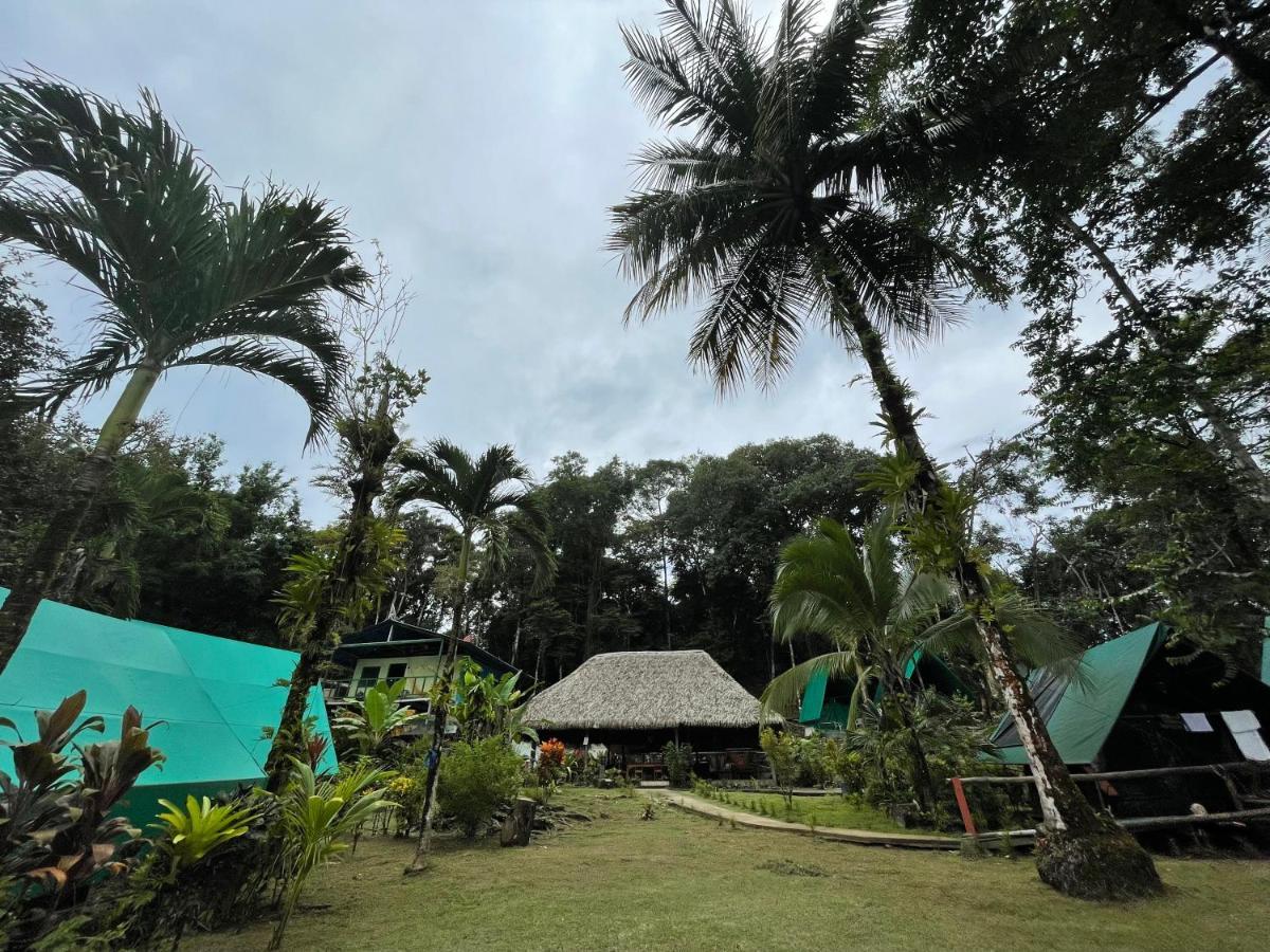 Corcovado Adventures Hostel Drake Bay Luaran gambar