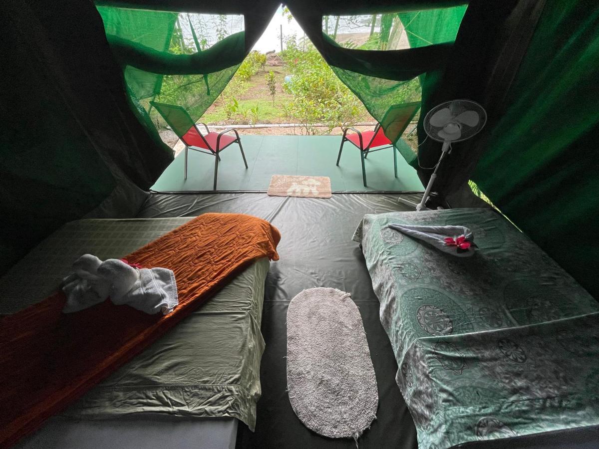 Corcovado Adventures Hostel Drake Bay Luaran gambar