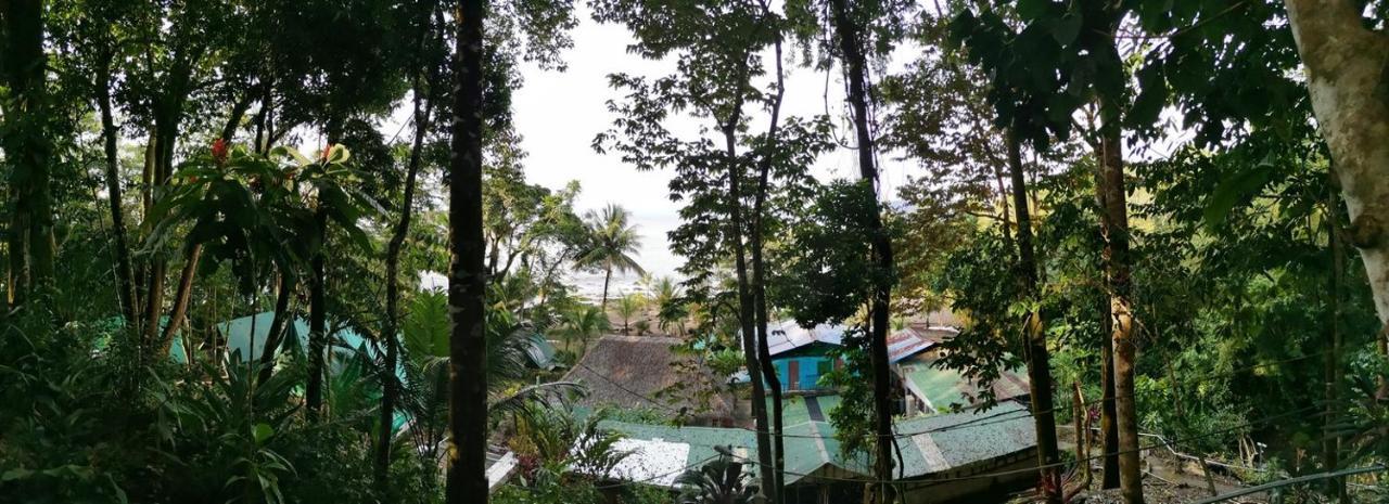 Corcovado Adventures Hostel Drake Bay Luaran gambar