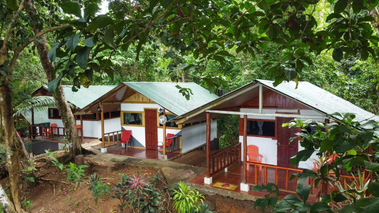 Corcovado Adventures Hostel Drake Bay Luaran gambar