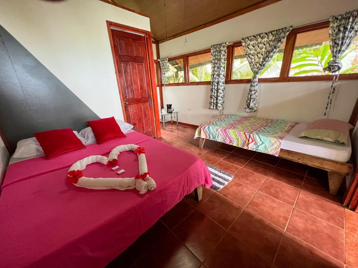 Corcovado Adventures Hostel Drake Bay Luaran gambar