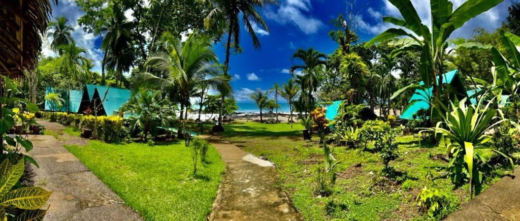 Corcovado Adventures Hostel Drake Bay Luaran gambar
