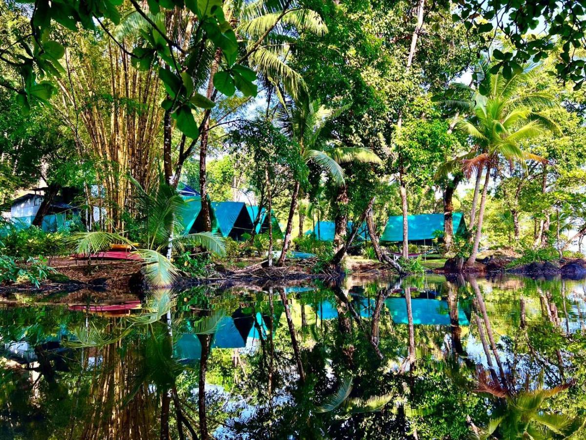 Corcovado Adventures Hostel Drake Bay Luaran gambar