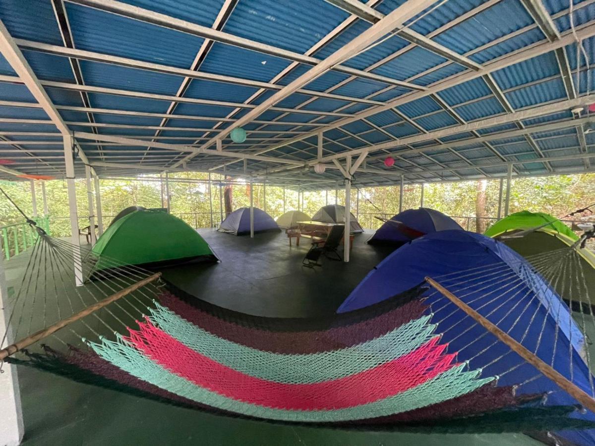 Corcovado Adventures Hostel Drake Bay Luaran gambar