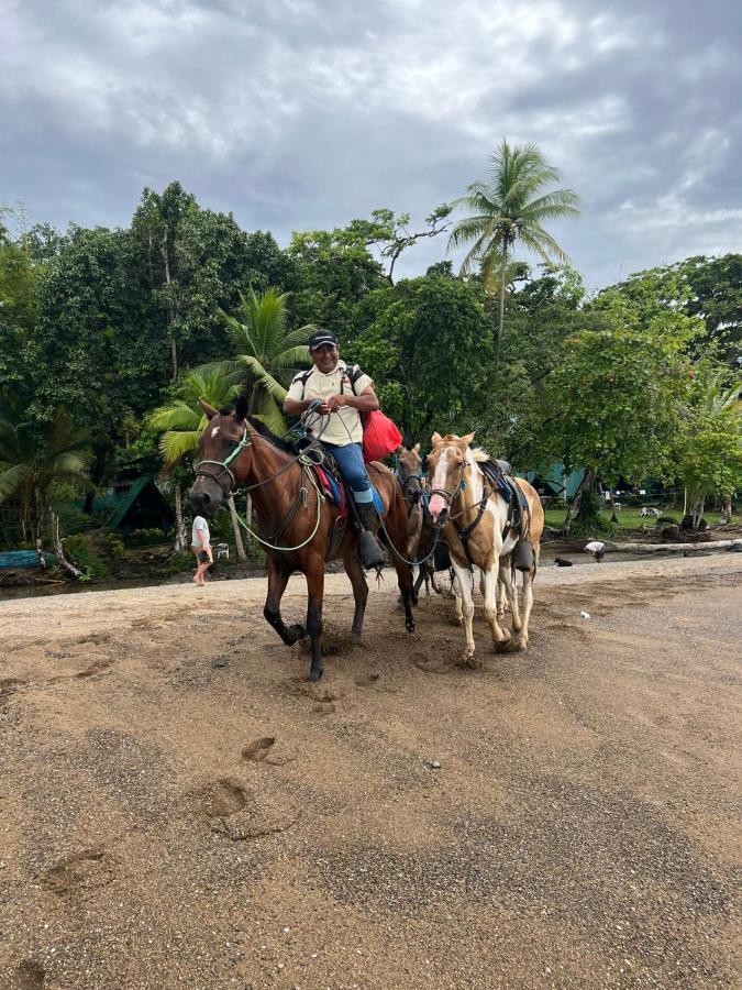 Corcovado Adventures Hostel Drake Bay Luaran gambar