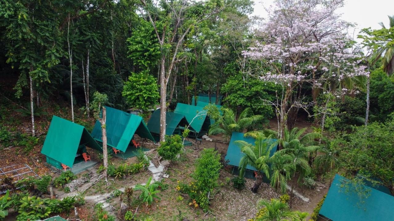 Corcovado Adventures Hostel Drake Bay Luaran gambar