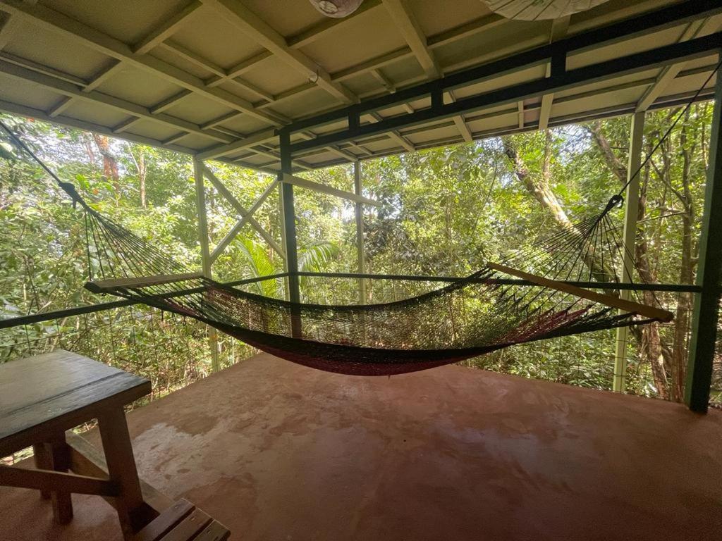 Corcovado Adventures Hostel Drake Bay Luaran gambar