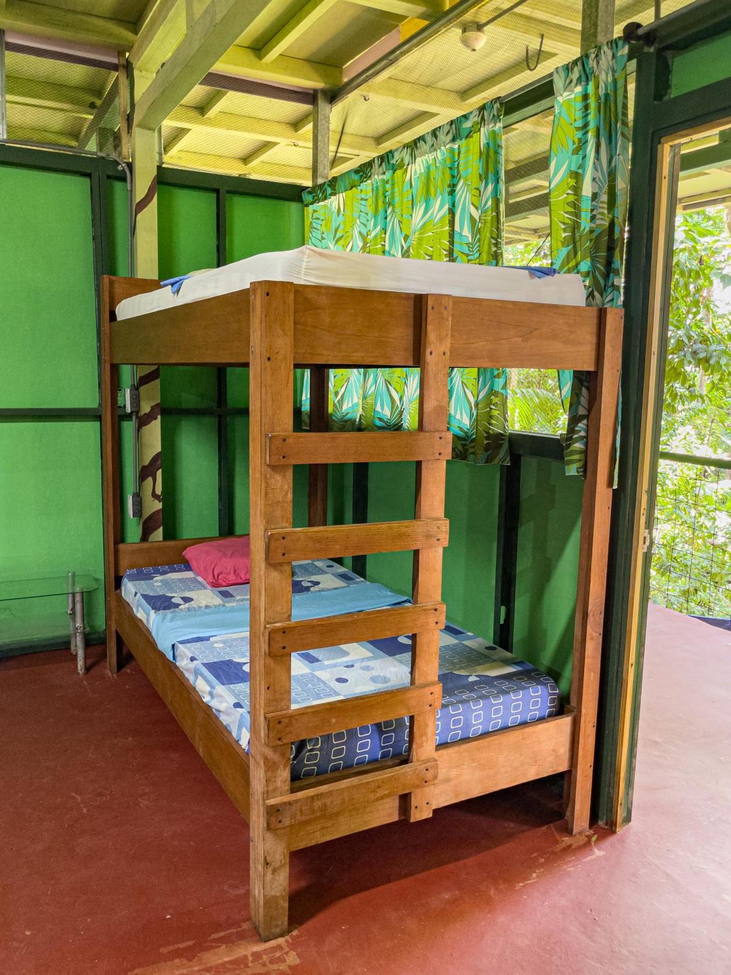 Corcovado Adventures Hostel Drake Bay Luaran gambar