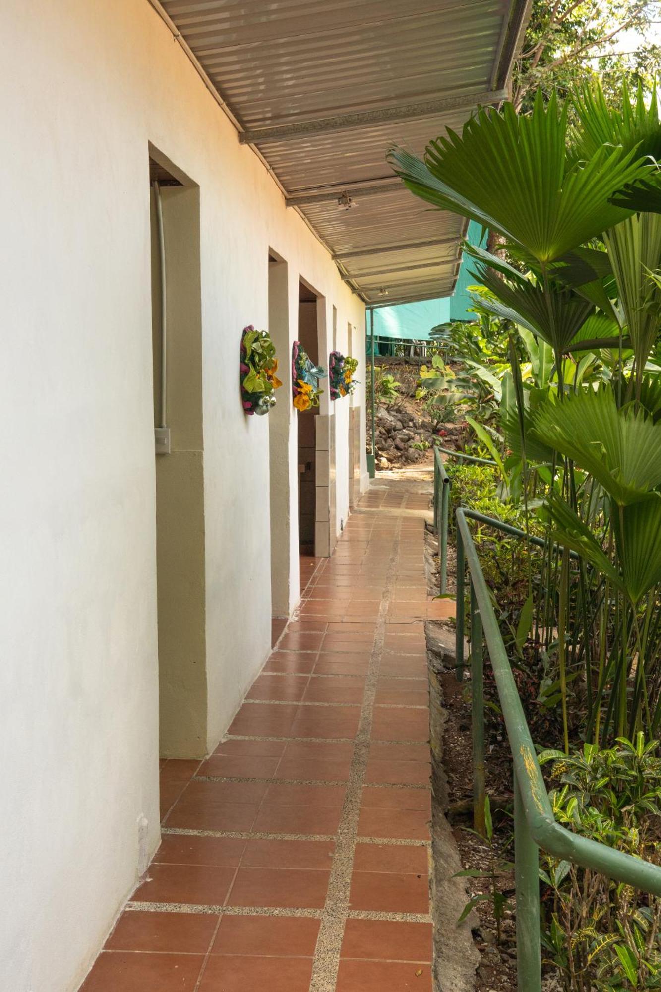 Corcovado Adventures Hostel Drake Bay Luaran gambar