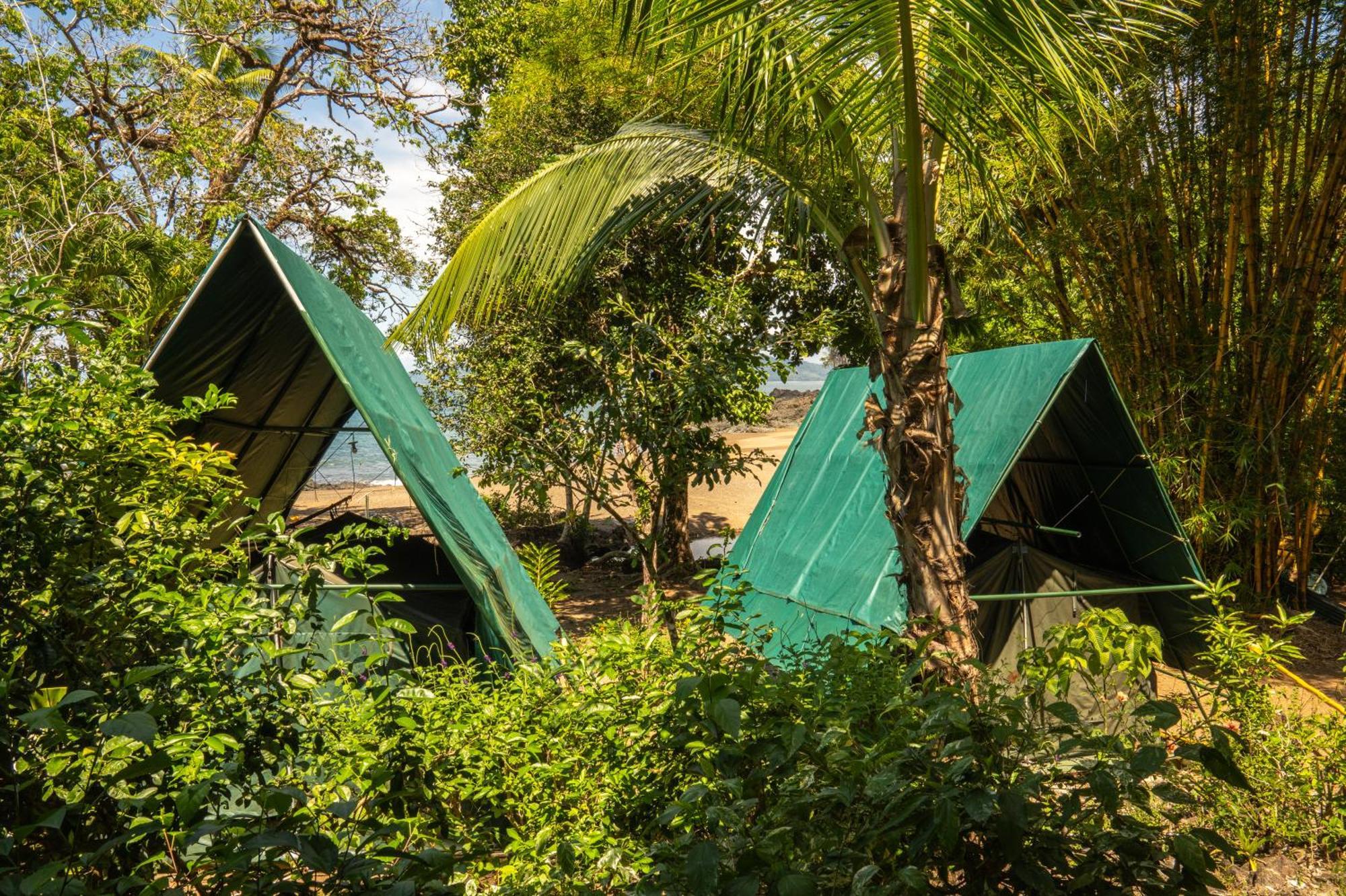 Corcovado Adventures Hostel Drake Bay Luaran gambar