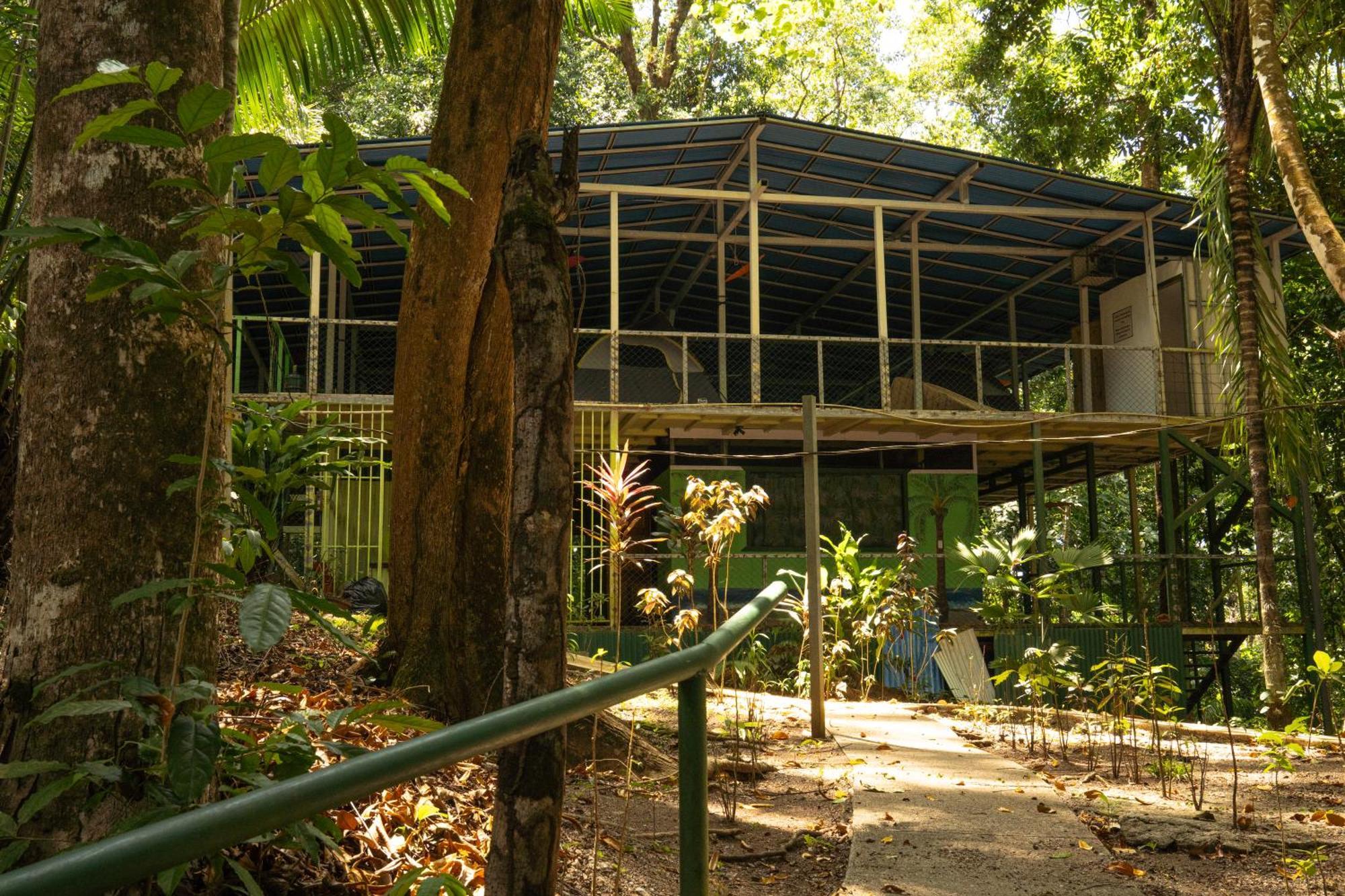 Corcovado Adventures Hostel Drake Bay Luaran gambar