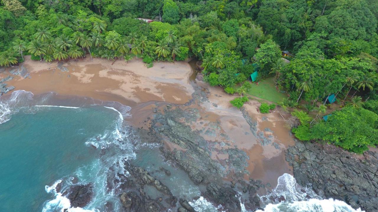 Corcovado Adventures Hostel Drake Bay Luaran gambar