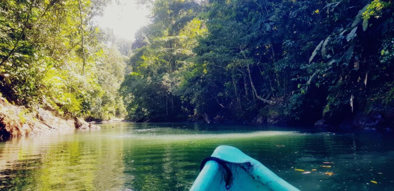 Corcovado Adventures Hostel Drake Bay Luaran gambar