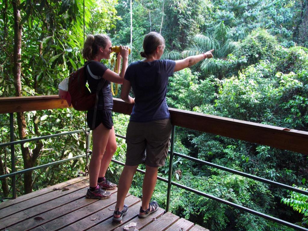 Corcovado Adventures Hostel Drake Bay Luaran gambar